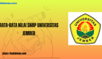 rata-rata nilai snbp universitas jember