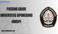 passing grade universitas diponegoro