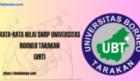 rata-rata nilai snbp universitas borneo tarakan