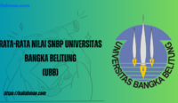 rata rata nilai snbp universitas bangka belitung